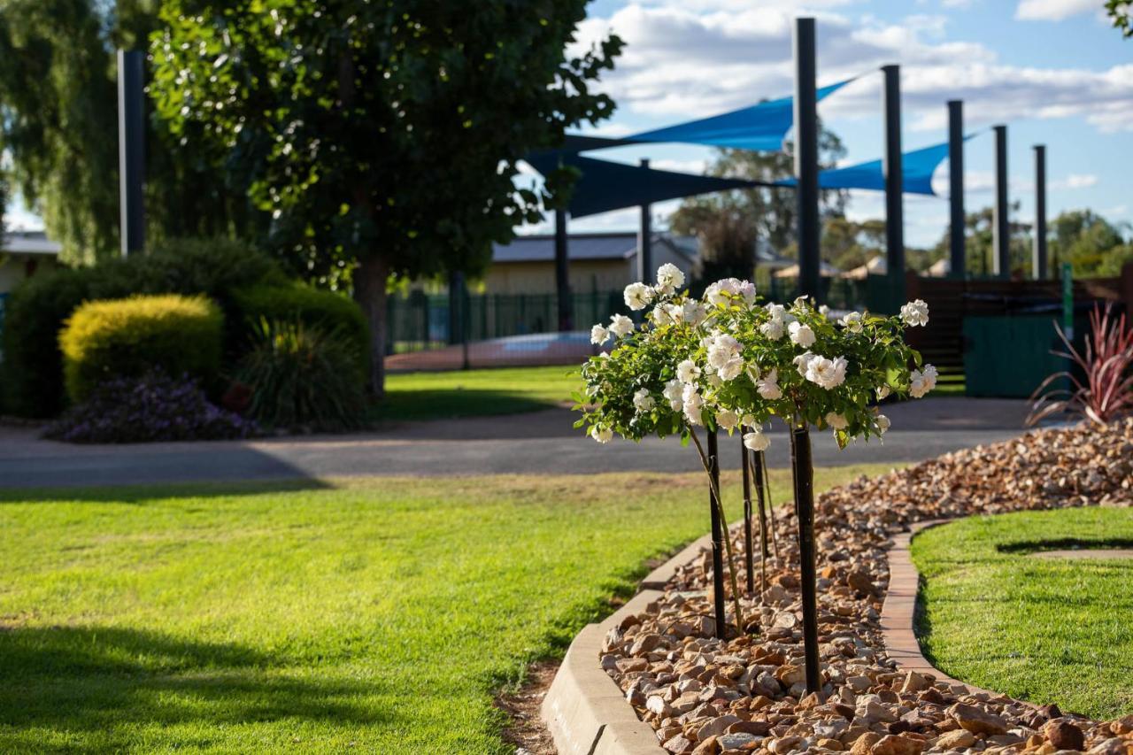 Berri Riverside Holiday Park Exterior foto